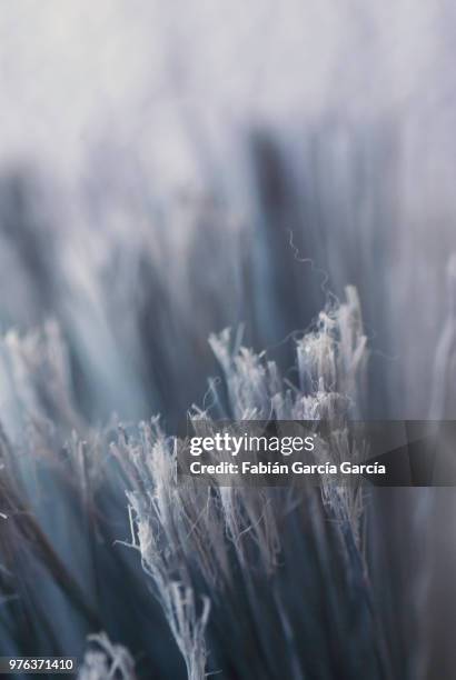 fibras - asbestos stock pictures, royalty-free photos & images