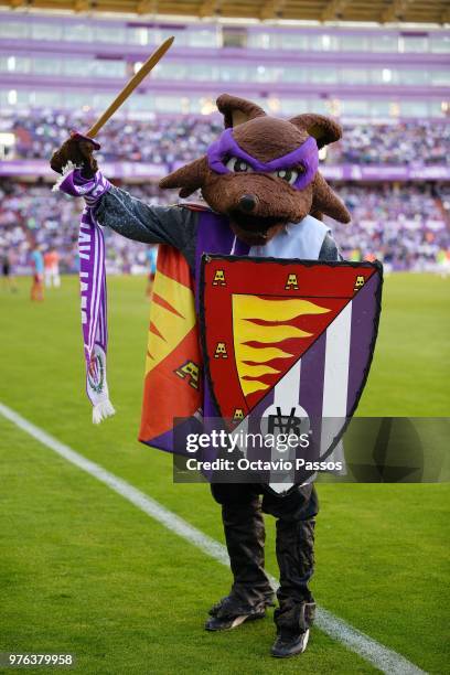 Real Valladolid mascot Pepe Zorrillo during the La Liga 123 play off match between Real Valladolid and Club Deportivo Numancia at Jose Zorilla...