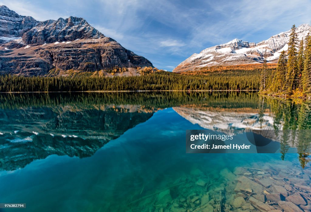 Lake O'Hara morning