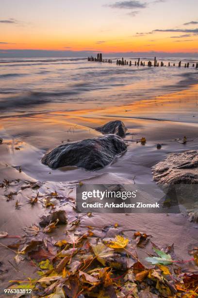 autumn morning on beach, evanston, illinois, usa - evanston illinois stock pictures, royalty-free photos & images