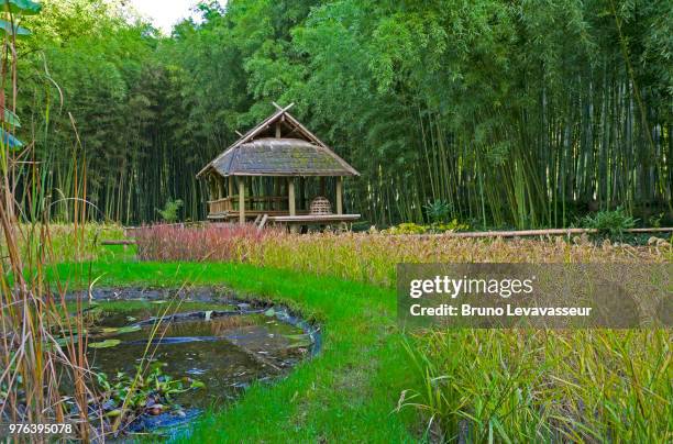 la petite maison dans la riziere - maison vacances stock pictures, royalty-free photos & images