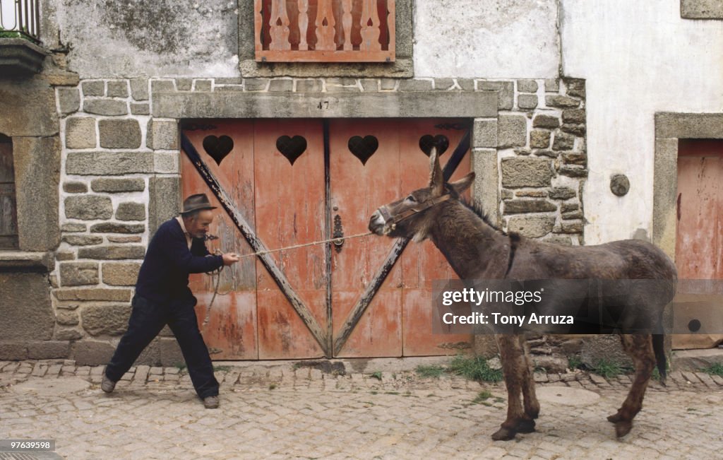 Man pulling stubborn donkey