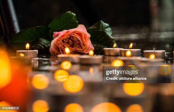 June 2018, Germany, Mainz: A rose lies next to candles in memory of Susanna. People demonstate under the motto 'Fuer Vielfalt und Toleranz - gegen...