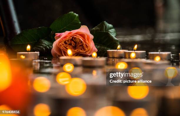 Dpatop - 11 June 2018, Germany, Mainz: A rose lies next to candles in memory of Susanna. People demonstate under the motto 'Fuer Vielfalt und...