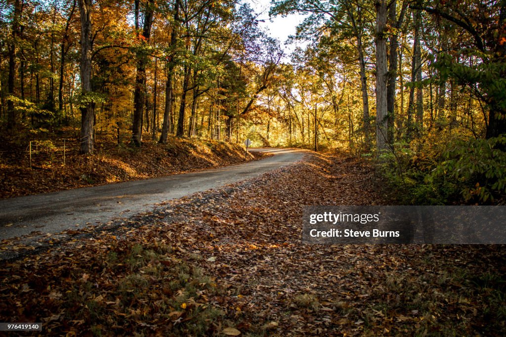 Fall Colors in Tennessee