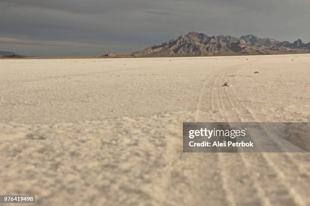 bonneville salt flats, salt lake city, utah, usa - bonneville salt flats 個照片及圖片檔