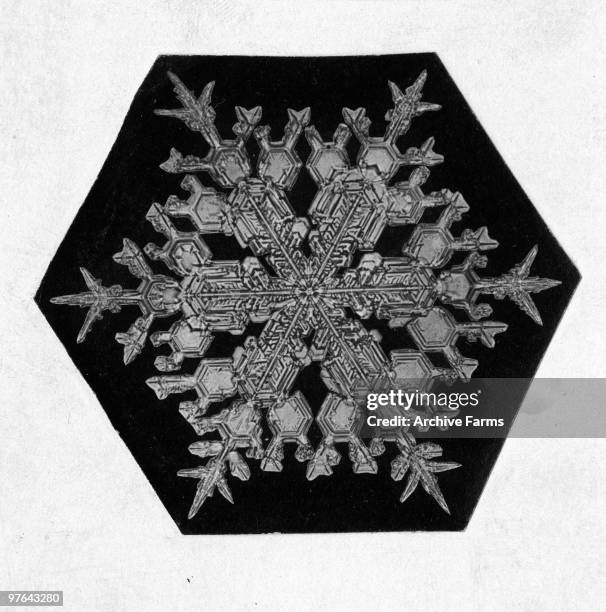 Close-up of a snowflake, 1902.