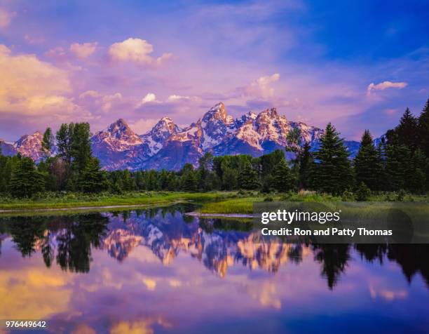 beaver pond glows in pink at grand teton national park - teton backcountry stock pictures, royalty-free photos & images