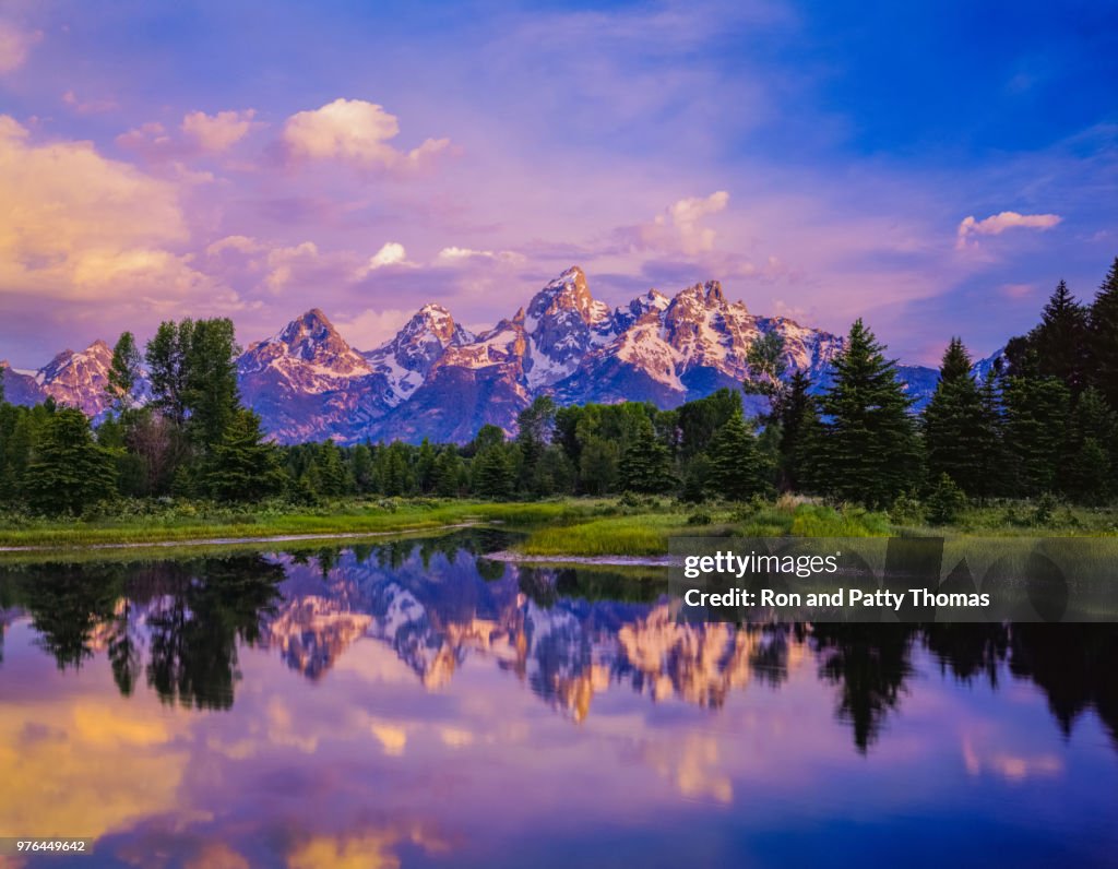 Brilhos de lagoa Castor-de-rosa no Parque Nacional de Grand Teton