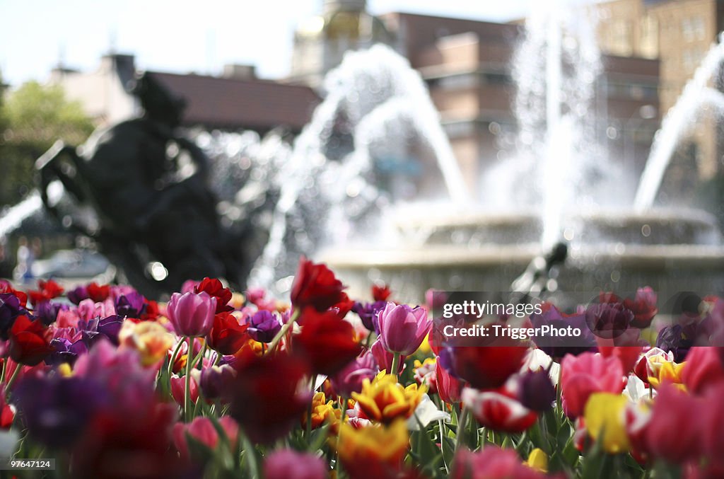 City of fountains