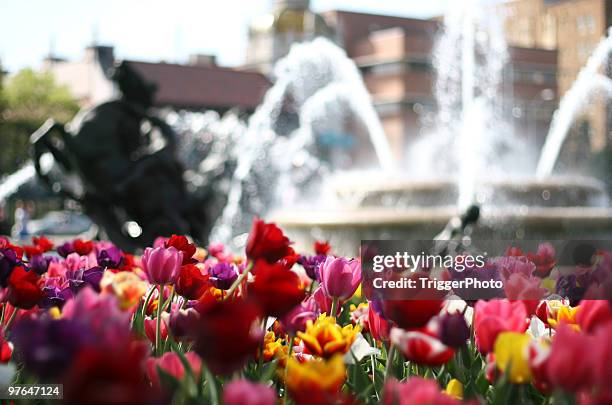 city of fountains - kansas city missouri stockfoto's en -beelden