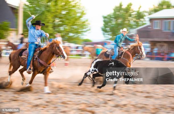 Memphis Roping Rodeo Team Roping 1,221 Rodeo Team Roping Stock Photos, High-Res Pictures, and Images ...