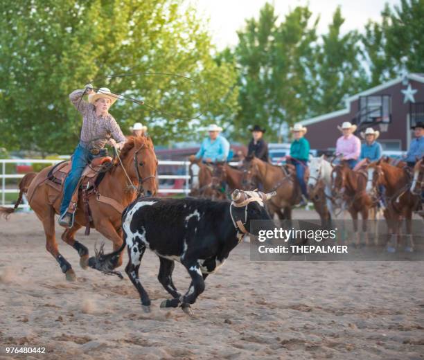Us Team Roping 849 Extreme Points Of Us States Stock Photos, High-Res Pictures, and ...