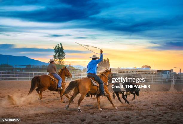 Original Team Roping Team Roping Photos and Premium High Res Pictures - Getty Images