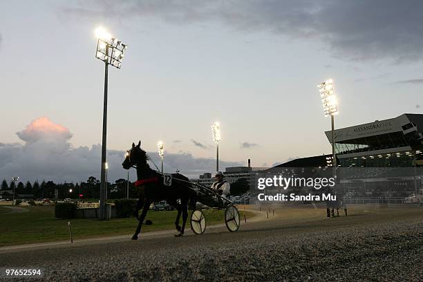 Anthony Butt riding Raglan heads out onto the track for race 4 during the Auckland Trotting Cup meeting at Alexandra Park on March 12, 2010 in...