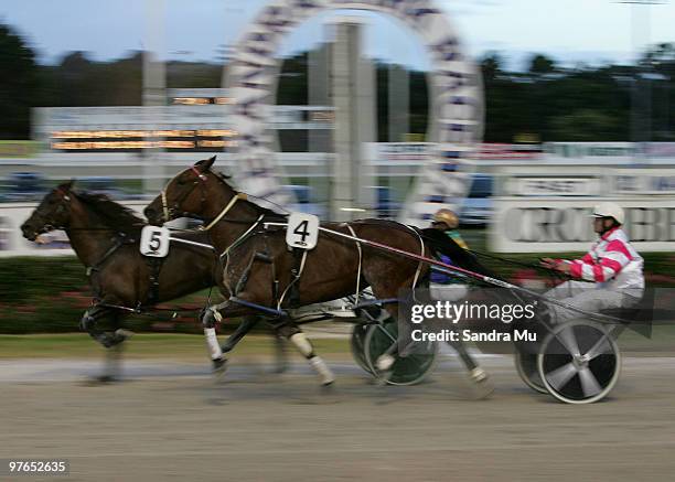 Colin De Filippi riding Fresco Denario in race 4 during the Auckland Trotting Cup meeting at Alexandra Park on March 12, 2010 in Auckland, New...