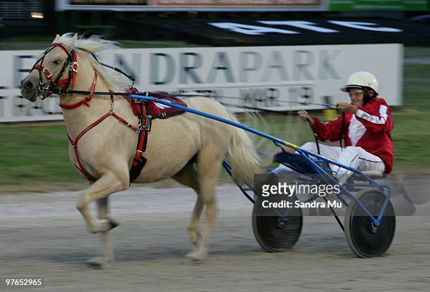 Young rider restrains his pony from galloping in the Kids Kartz Pony Trott Auckland Cup during the Auckland Trotting Cup meeting at Alexandra Park on...