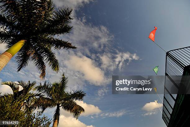 Scenic view of palm trees and flags during practice for the World Golf Championships-CA Championship at Doral Golf Resort and Spa on March 10, 2010...