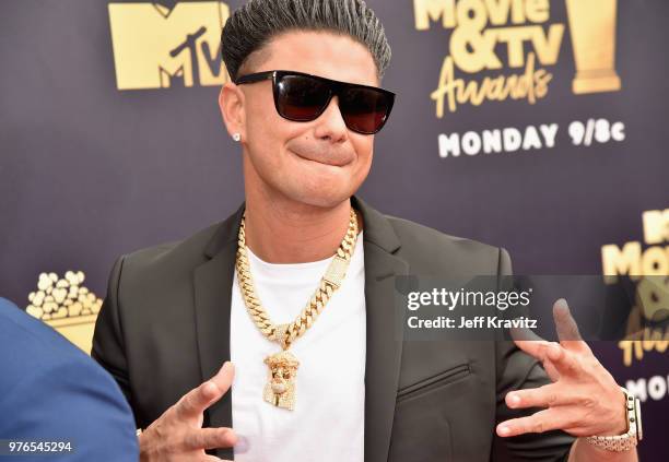 Personality Paul Delvecchio attends the 2018 MTV Movie And TV Awards at Barker Hangar on June 16, 2018 in Santa Monica, California.