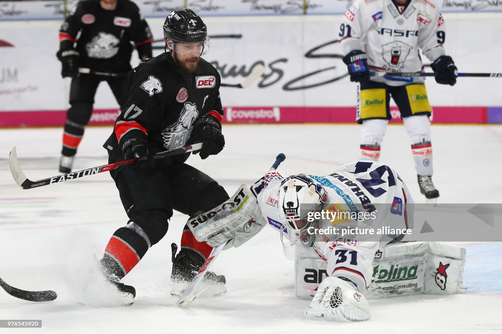 Ice Hockey - NurembergIce Tigers vs Eisbaeren Berlin