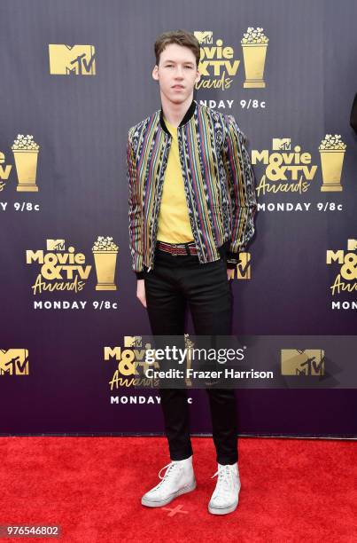 Actor Devin Druid attends the 2018 MTV Movie And TV Awards at Barker Hangar on June 16, 2018 in Santa Monica, California.