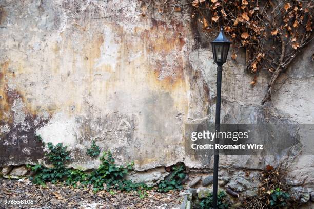 romantic garden wall with ivy leaves and old wrought iron lantern - ummauerter garten stock-fotos und bilder