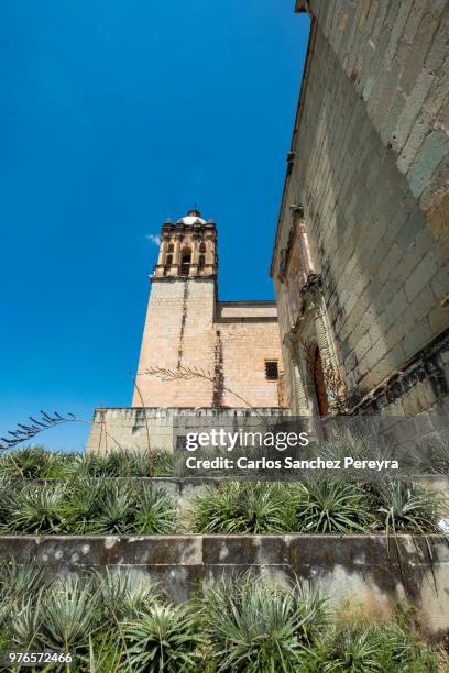 famous church in oaxaca - guzman stock pictures, royalty-free photos & images