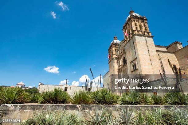 famous church in oaxaca - guzman stock pictures, royalty-free photos & images