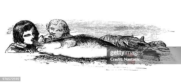 the fishing party - dogfish stock illustrations