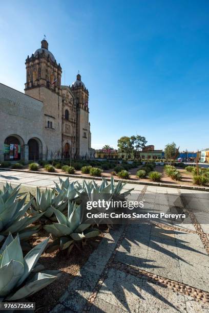 famous church in oaxaca - guzman stock pictures, royalty-free photos & images