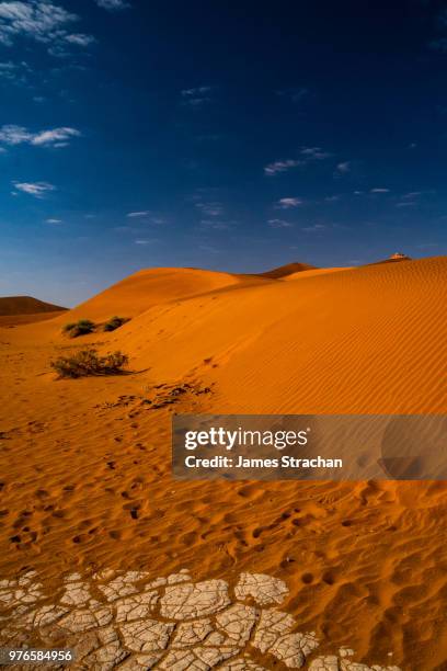 visitors reach the top of the massive orange sand dune known as big daddy (325 metres), with sand blown into pronounced lines in the foreground, together with patterned white clay, sossusvlei area, namib desert, namib-naukluft, namibia - strachan stockfoto's en -beelden
