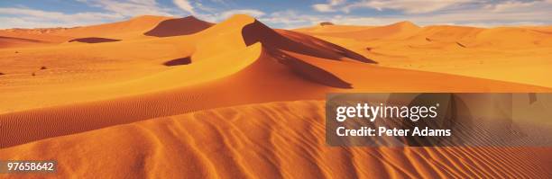 sand sea, namib desert, namibia, africa - namib desert stock pictures, royalty-free photos & images