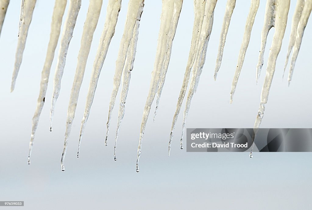 Icicles