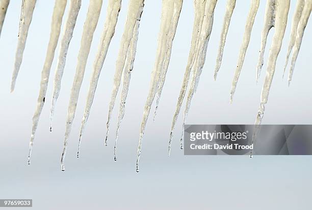 icicles - david trood stock pictures, royalty-free photos & images