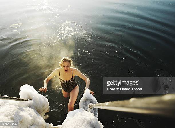 woman winter bather during an early morning swim. - david trood stockfoto's en -beelden