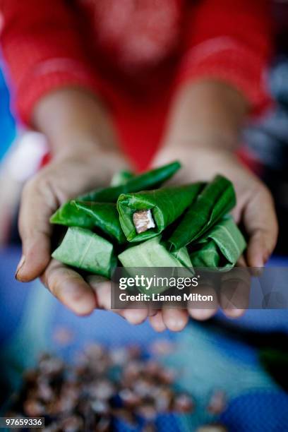 betel nut wraps - areca stock pictures, royalty-free photos & images