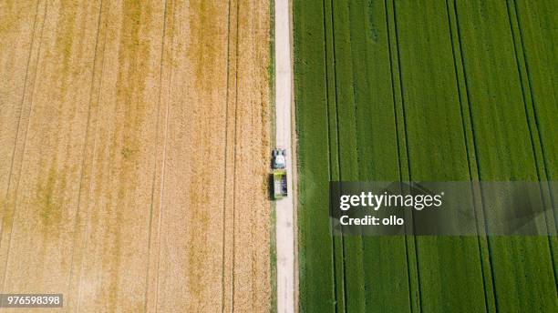 área agrícola. campos e trator - ollo - fotografias e filmes do acervo