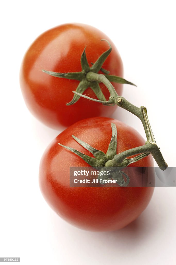 Fresh Tomatoes on the Vine