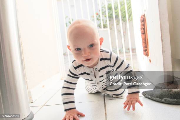 baby boy crawling at home. - baby gate stock pictures, royalty-free photos & images