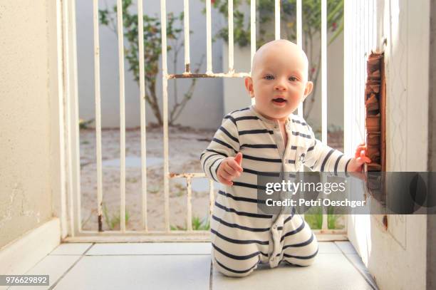 baby boy crawling at home. - baby gate stock pictures, royalty-free photos & images