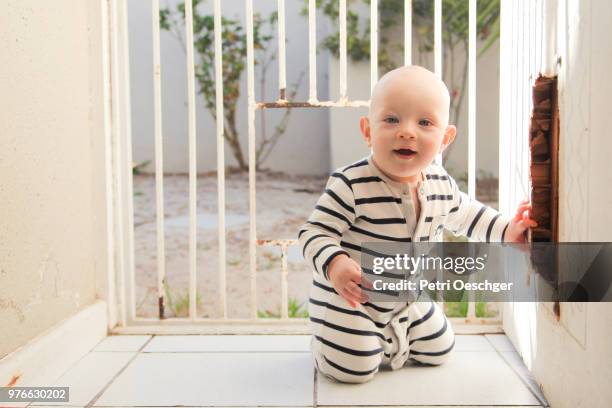 baby boy crawling at home. - baby gate stock pictures, royalty-free photos & images