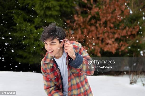 dodging the snowball - dodging stock pictures, royalty-free photos & images