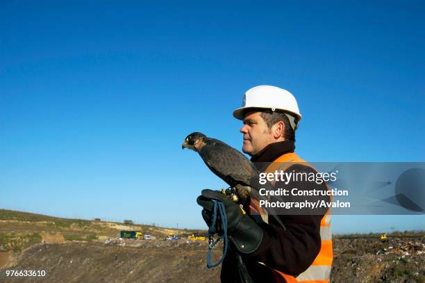 Birds of prey are increasingly being used as a highly efficient and effective means of vermin control They are successfully employed in city centres,...