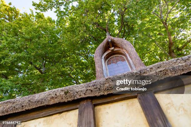 window at matamata visitor centre - matamata stock pictures, royalty-free photos & images