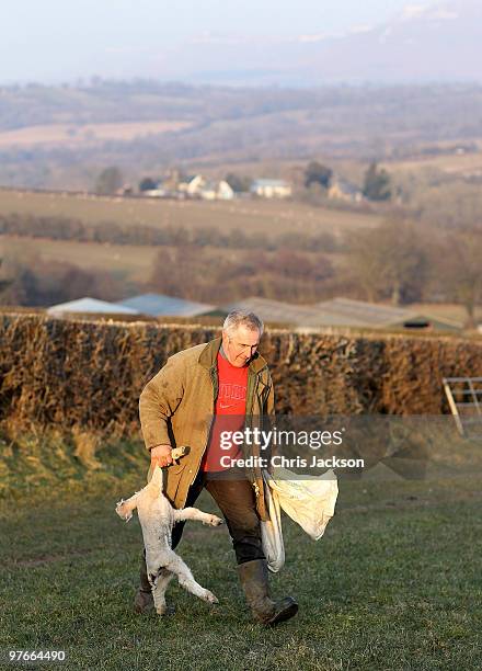 Farmer Dai Brute picks up a dead lamb from his fields at Gwndwnwal Farm on March 11, 2010 in Brecon, Wales. Dai Brute runs Gwndwnwal Farm in...