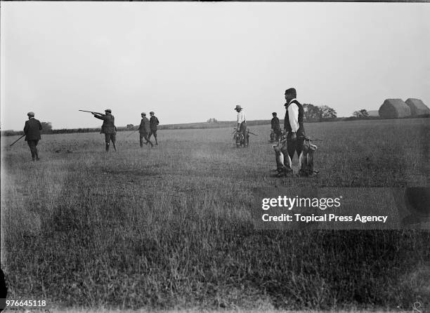 Hunters on a rabbit shoot near Burnham-on-Crouch, Essex, at the start of the shooting season, 6th September 1909.