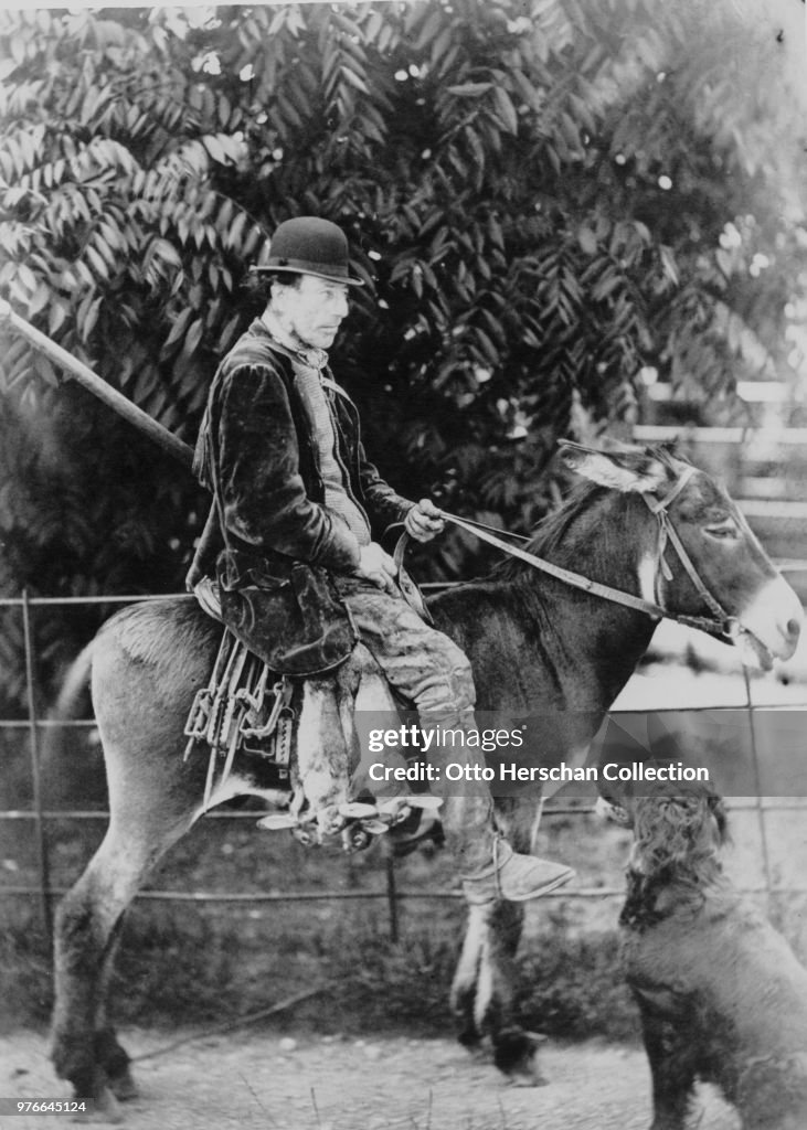 Olden Days Rabbit Catching A rabbit catcher on a donkey, with dead rabbits and traps hanging ...