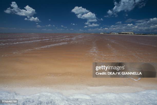 Reddish waters caused by Dunaliella salina microalgae in a pond of the salt pans of Margherita di Savoia, Apulia, Italy.