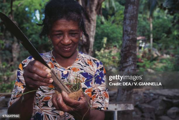 Woman preparing an infusion with local herbs, Silhouette island, Seychelles.