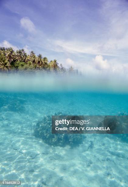 The uninhabited island of Losiep, Fala Lop, Ulithi Atoll, Micronesia.